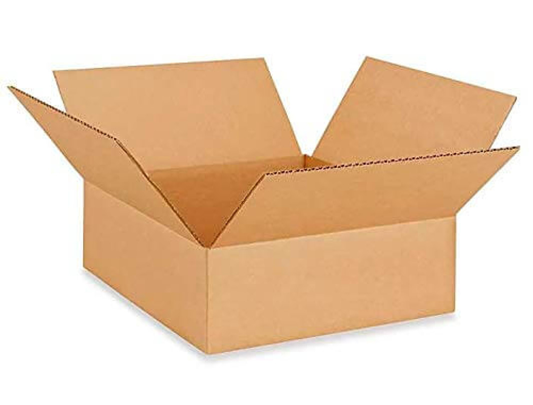 Fast Delivery On Each Orders Time limited Specials Free Shipping