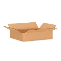 16"L x 10"W x 4"H Flat Cardboard Boxes