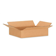 16"L x 10"W x 4"H Flat Cardboard Boxes